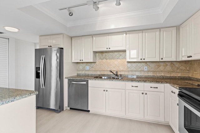 kitchen featuring a sink, a tray ceiling, light wood-type flooring, and appliances with stainless steel finishes