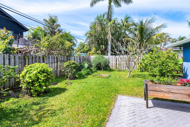 view of yard with a patio area and a fenced backyard