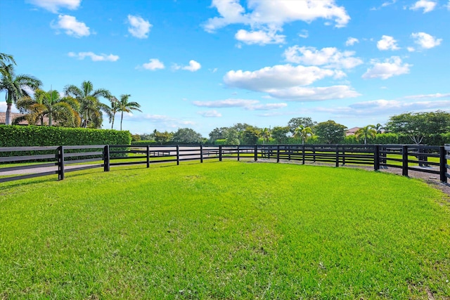 view of yard featuring a rural view