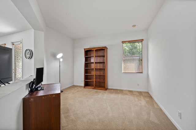 interior space with baseboards and carpet floors