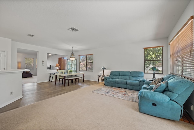 carpeted living room featuring visible vents, baseboards, and wood finished floors