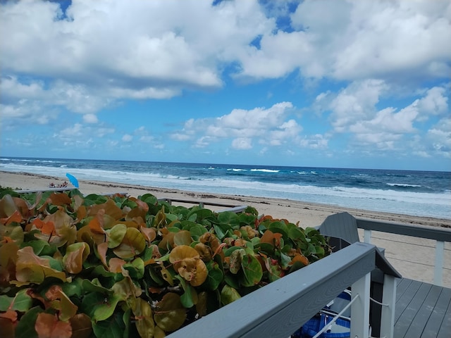 water view with a view of the beach