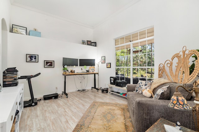 living area featuring ornamental molding, light wood finished floors, a towering ceiling, and baseboards