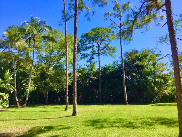 view of community featuring a lawn