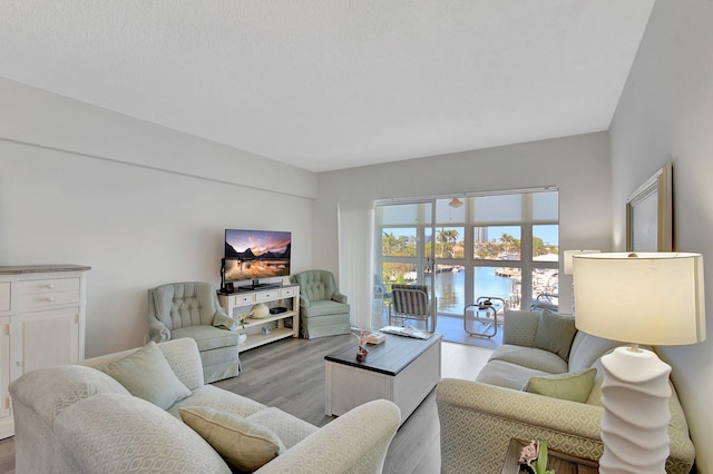 living room featuring wood finished floors