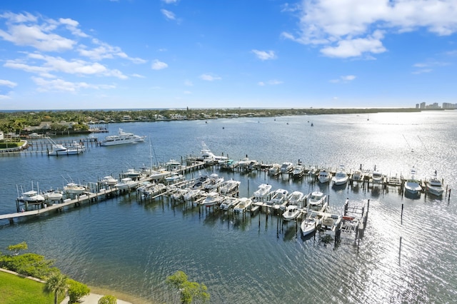 view of water feature featuring a boat dock