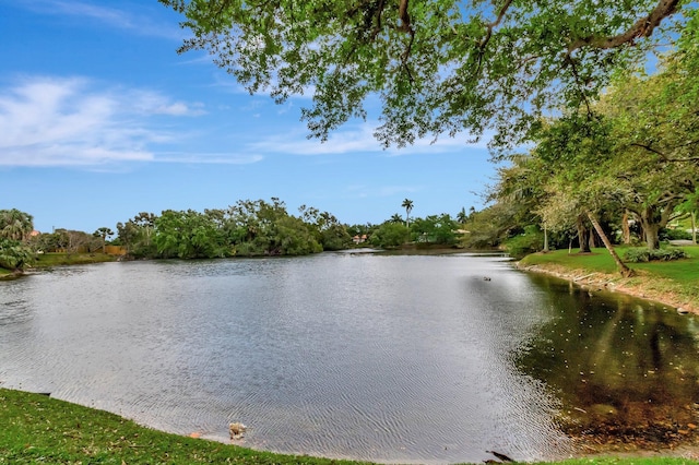 property view of water