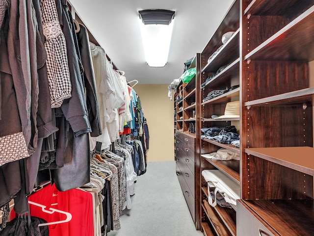 spacious closet featuring carpet