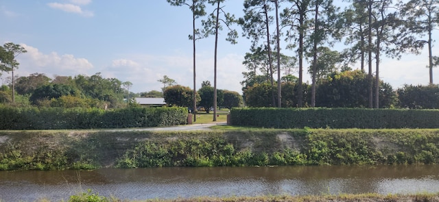 view of home's community featuring a water view