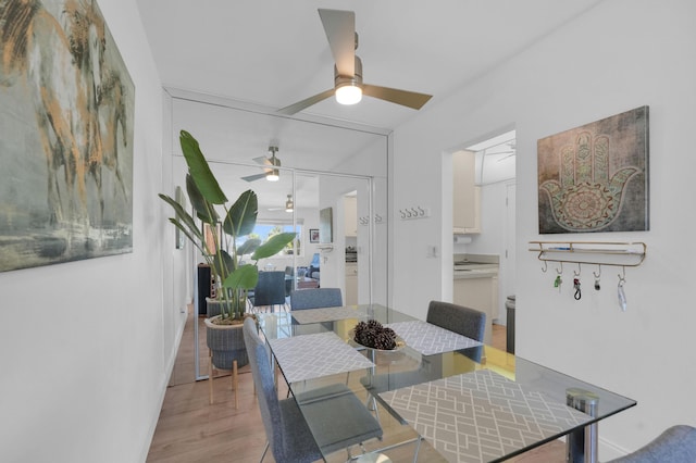 dining space featuring a ceiling fan and light wood-type flooring