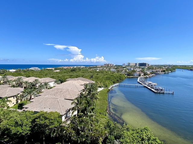 drone / aerial view with a water view