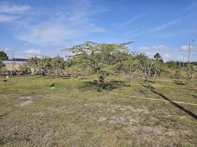 view of yard