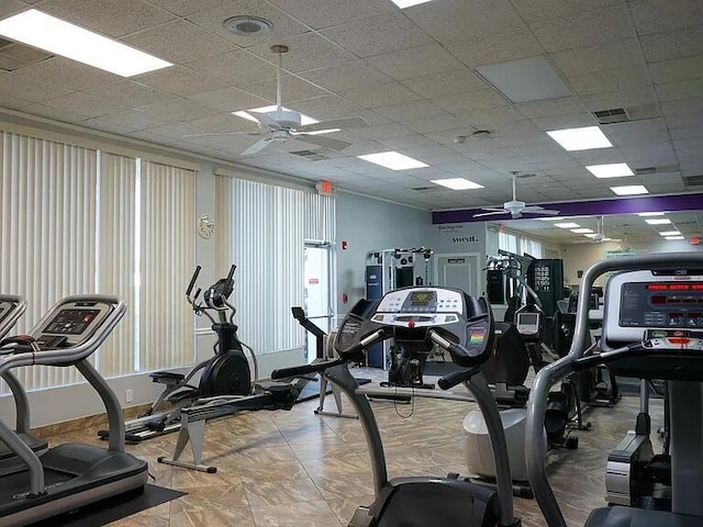 exercise room with ceiling fan and a paneled ceiling