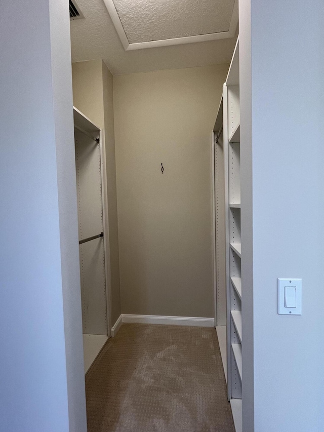 spacious closet featuring carpet flooring