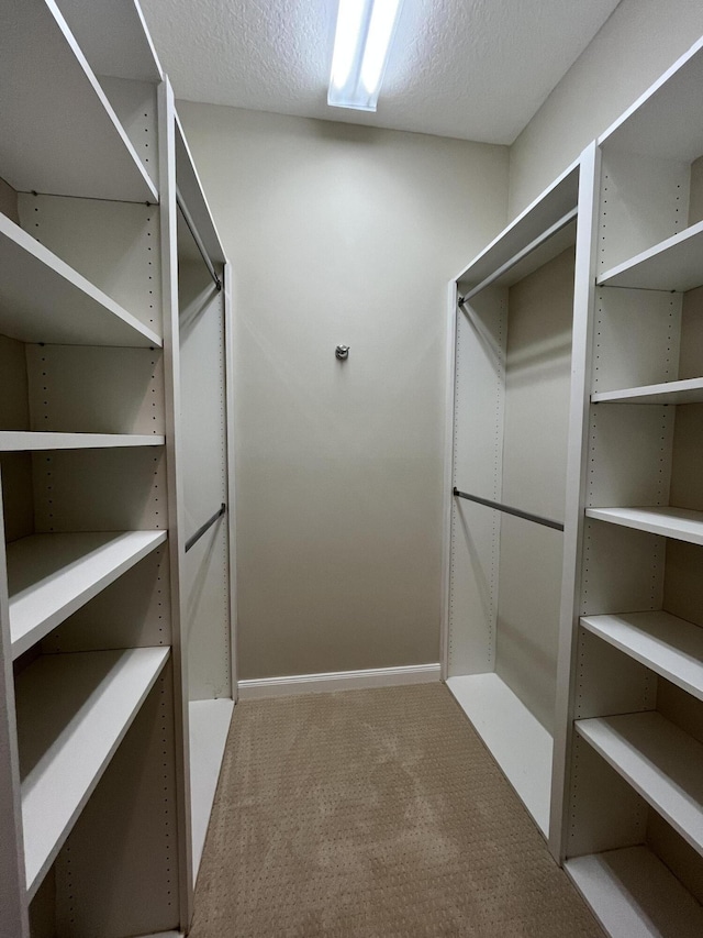 walk in closet with carpet