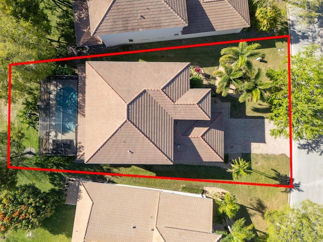 bird's eye view