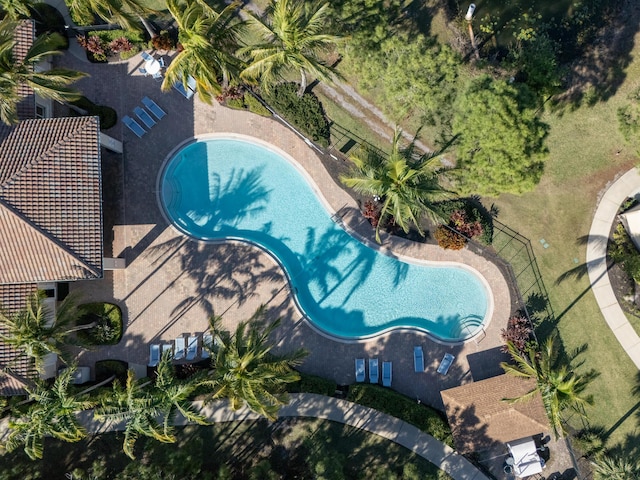 aerial view