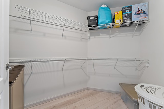 spacious closet with light wood-type flooring