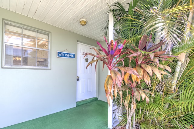 entrance to property featuring stucco siding