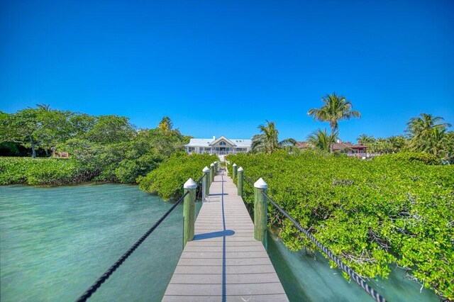 dock area with a water view