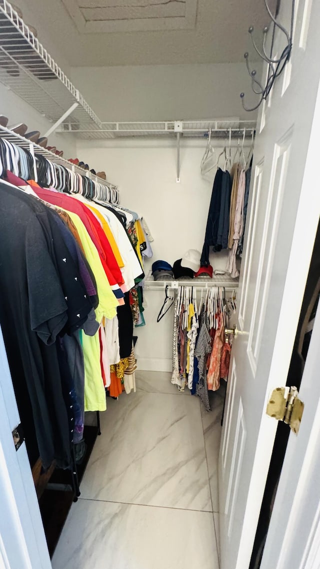 view of walk in closet