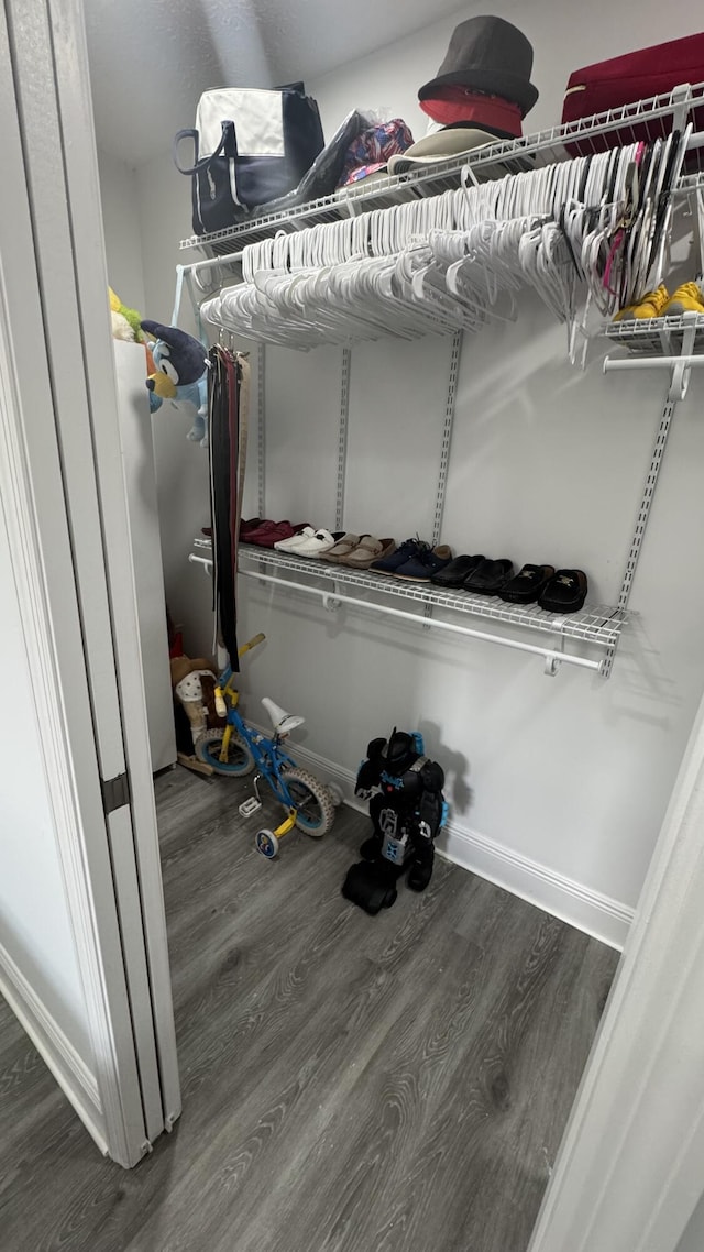 spacious closet with wood finished floors