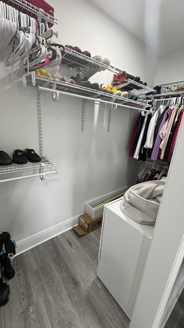 walk in closet featuring wood finished floors