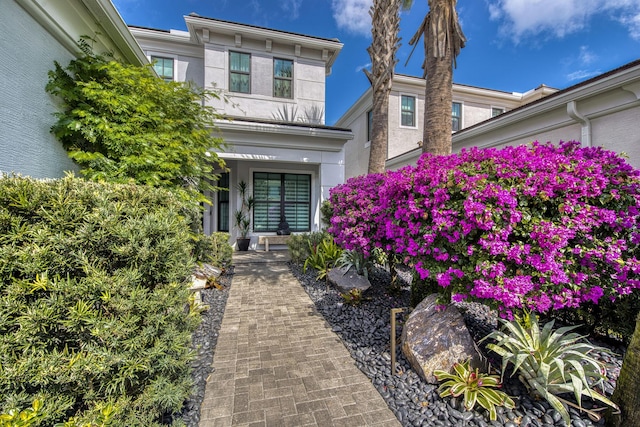 view of exterior entry featuring stucco siding