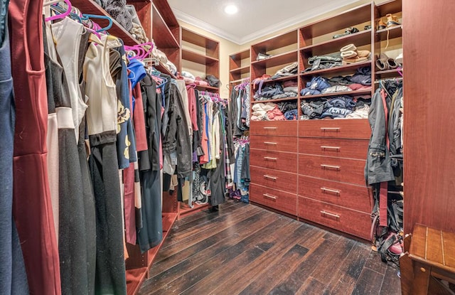 spacious closet featuring dark wood-type flooring