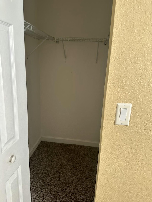 spacious closet with carpet floors