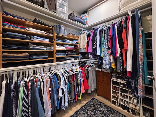 view of spacious closet