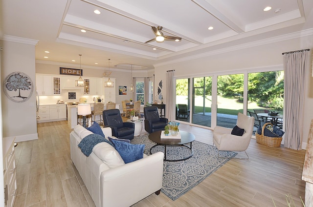 living area with a tray ceiling, crown molding, and light wood-type flooring