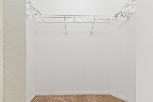 spacious closet featuring light colored carpet