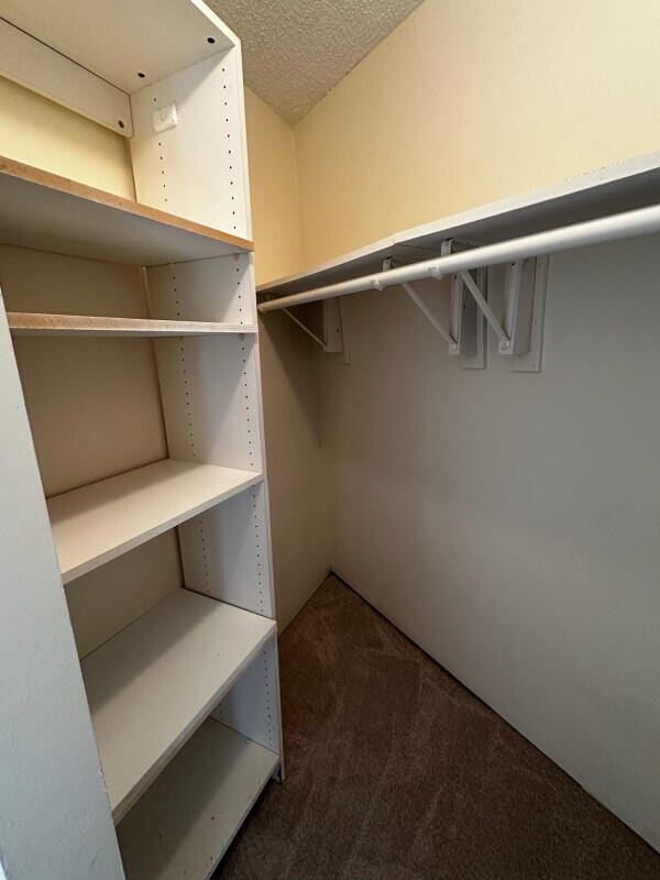 walk in closet featuring carpet