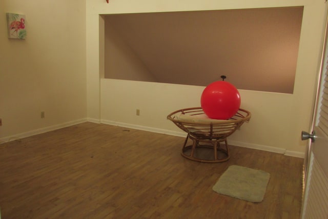 unfurnished room with lofted ceiling, baseboards, and wood finished floors