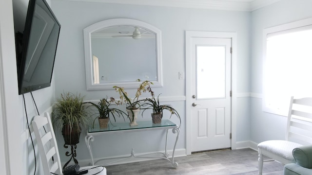 entrance foyer featuring baseboards and wood finished floors