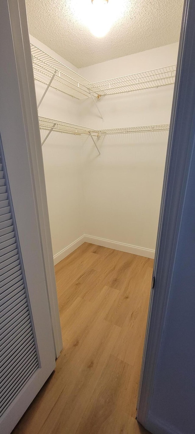 walk in closet featuring light wood-style floors