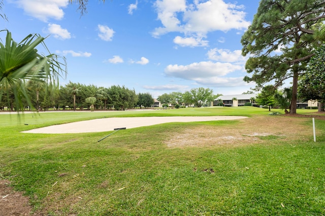 view of home's community with a lawn