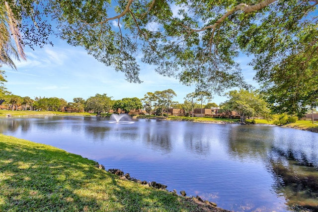 view of water feature