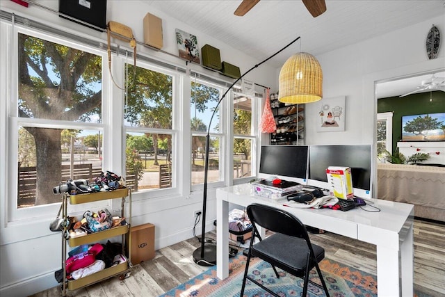 office space featuring ceiling fan and wood finished floors