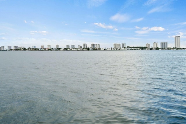 water view with a city view