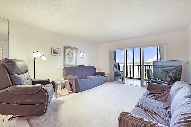 living area with carpet flooring and a textured ceiling