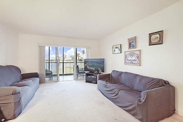 view of carpeted living area