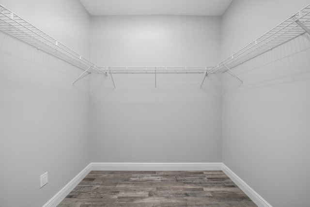 walk in closet with wood finished floors