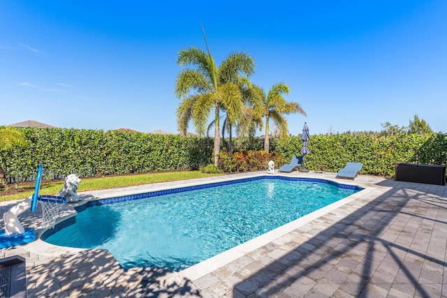 view of swimming pool with a fenced in pool, a fenced backyard, and a patio area