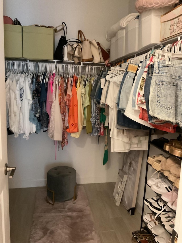 spacious closet with wood finished floors