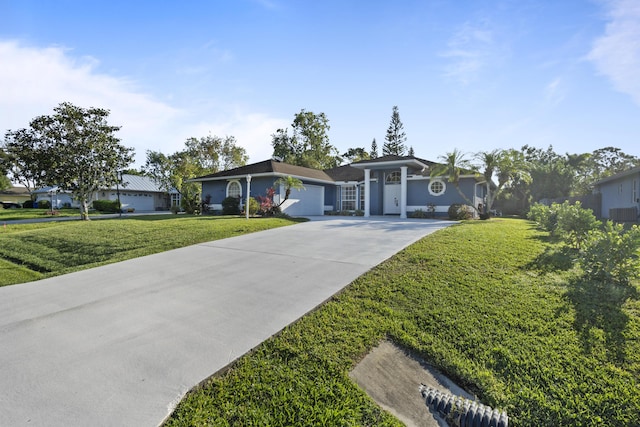 ranch-style house featuring concrete driveway and a front lawn