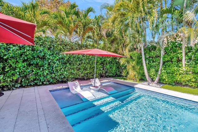 view of swimming pool with a patio