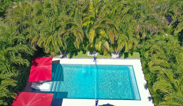 view of pool