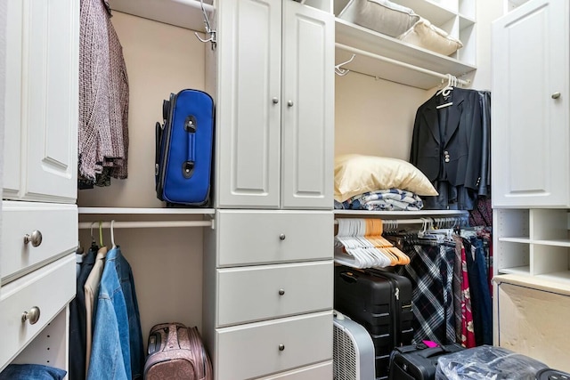 view of spacious closet